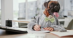 Office, business and dog at desk writing notes for working, career and job for corporate agency. Pet friendly, animal and Boxer in professional workplace on laptop for research, website and internet