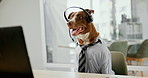 Dog, call center and agent with laptop, headset and glasses with reading for telemarketing in office. Animal, pet or crm consultant with computer for tech support, customer service and voip for job