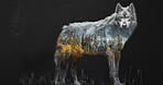 Nature, background and wolf with forest in double exposure for prey hunting, environment or adventure. Woods, abstract and graphic of trees with wild animal for ecosystem, survival or natural habitat