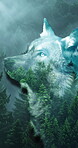 Double exposure, nature and forest with wolf, animal and wild canine species in habitat environment. Outdoor, woods or landscape for predator, hunting behaviour and conservation ecosystem with clouds