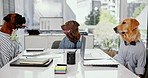 Dogs, call center and meeting with telemarketing, customer service and support with costume. Funny, Golden Retriever and cosplay in an office with headset of animal consultant with pet in workplace