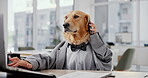 Office, business and dog on phone call with laptop typing or documents for communication and networking. Comic, mimic and animal or pet on suit in desk at workplace for humor, fun and browse internet