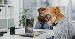 Dog, business and working with telemarketing, customer service and yawn with comic costume. Funny, Golden Retriever and cosplay in an office with worker of animal consultant with pet in workplace