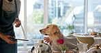 Restaurant, dogs and payment bill of dinner, lunch and national pet month for celebration. Cafeteria, animal couple or private chef or waiter for hospitality, help or pet service with fine dining