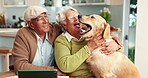 Old couple, dog and hug for love in home, paperwork and support for tax or asset management. People, pet care and affection for animal in kitchen, documents and together for insurance or planning