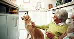 Happy, elderly couple and wine with dog in house with connection, animal or memory in retirement. Senior people, pet care and kitchen for bonding, relationship or together in home for support or love