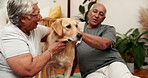 Home, senior couple and happy with dog on floor for friendship, bonding and trust for care and support. Relationship, people and pet on retirement for fun, relax and enjoy for welfare and adoption