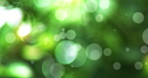Bokeh, blurry and green with particles in pastel colorful  background with light. Imagination, glitter and shine with textured pattern as wallpaper or abstract with bubbles or circles and flare