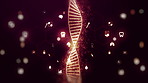 Science, red and glow of dna on black background for genetic information storage and graphic icon for illustration. Double helix, spiral shape and strand for evolution, transmission and chromosomes.