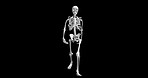 3d, motion or skeleton walking for medical information, research or biology for design of human body. Model structure, simulation and science of anatomy on black background for diagnosis or bones