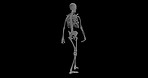Human body, 3d and skeleton walking for medical information, research or biology with design. Structure, learning or science of anatomy in motion on dark or black background for diagnosis or bones
