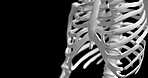 Ribs, dark and skeleton walking for medical information, research or biology with design of human body. Chest structure, closeup or science of anatomy on black background for diagnosis, 3d or bones