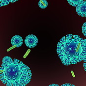 Medical, bacteria and microscopic virus cells for science research with ...