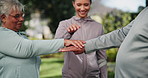 Elderly care, woman or series in nature for fitness, motivation or trust for health. Female trainer, senior couple or hands together for physio in park for energy, rehabilitation or physical wellness