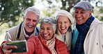 Senior people, friends and selfie in park for happy memory, support and relax together for bonding. Elderly, men and women with profile picture in outdoor for social media post, smile and retirement