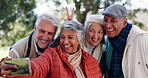 Elderly, people and happy in park for selfie with friendship, funny face and vlog for community memories with humor. Senior men and women together in garden for streaming or bonding with photography.