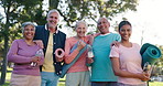 Face, personal trainer or old people in park for fitness or body mobility in outdoor group workout. Portrait, happy or senior friends together for training, exercise or retirement community in nature