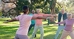 Yoga, stretching arms or old people in nature for health or body mobility in outdoor routine together. Group, zen or senior friends in warm up for warrior pose, instructor or retirement community