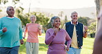 Senior, personal trainer or people in park for fitness or body mobility in outdoor cardio workout. Group, happy or friends in warm up together for training, exercise or retirement community in nature