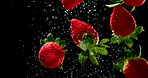 Strawberry, falling and water with natural fruit for vitamin c, fresh produce or wash on a black background. Closeup of organic food or sweet nutrition in drops with splash for healthy diet or fiber