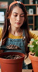 Gardening, spade or woman with soil in home for agriculture sustainability, eco friendly gardner and ecology. Hobby, pot or girl florist planting flower with fertilizer for leaf growth or maintenance
