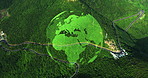 Green, world and globe with hologram above earth for conservation on global economy, planet or nature background. 3D model or futuristic technology floating in eco friendly change or transformation