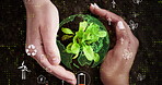 People, hands and data with globe or plant for global conservation, save planet or nurture above. Top view or closeup of person with futuristic plant, icons or energy in eco friendly growth of nature