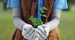 Hands, fertilizer and person with plant in nature for eco friendly, gardening or botany growth. Sustainable, soil and volunteer with green leaf sprout for charity pr ngo project in outdoor park.