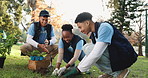 Plant, gardening and team of volunteers in nature with eco friendly, sustainability and growth. Field, leaf and group of ngo employees with green tree for clean energy project for charity in park.