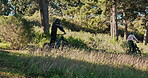 Ebike, cycling and race with people in nature for sustainability, travel and relax. Peace, environment and speed with ride on forest path trail for challenge, carbon footprint and transportation