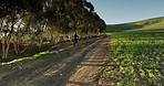 Fast, hill and person on bike in countryside for sustainability, travel or sports in natural environment. Nature, speed or rider on dirt path trail for challenge, race and transportation in Italy