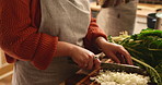 Hands, kitchen and woman cut onion for cooking healthy dinner, meal or culinary food at home. Knife, ingredients and closeup of female person chop vegetables for diet, nutrition or wellness supper.