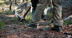 Back view, legs or people in forest walking for outdoor adventure or journey for travel in nature or woods. Stick, hiking path or friends on vacation holiday for exercise, trip or trekking to explore