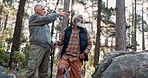 Senior men, hiking and pointing in nature for direction, advice and tree study in woods. Elderly people, friends or gesture in forest for arboriculture, showing location or adventure in retirement