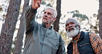 Senior people, hiking and pointing in nature for direction, advice and navigation for fitness. Elderly men, friends or gesture in forest for bird watching, showing location or adventure in retirement