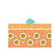 Graphic, layer and epidermis with water structure for hydration process ...