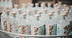 Distillery, gin bottles and packaging at warehouse for supply chain,  manufacturing and delivery. Factory, alcohol and machines or equipment for processing at storage in logistics for distribution