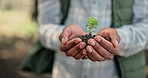 Hands, plant and soil with nature, growth and hope for sustainability and farm future. Person, environment and sprout for support, accountability and ecology development or green farming practice