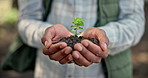 Hands, sprout and soil with nature, growth and hope for sustainability and farm future. Person, environment and plant for support, accountability and ecology development or green farming practice