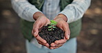 Hands, seedling and soil with nature, growth and hope for sustainability and farm future. Person, environment and plant for support, accountability and ecology development or green farming practice