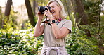 Mature woman, photographer and hiker with camera in forest or woods for sightseeing or tourism. Senior, female person or traveler with technology or lens for picture, photography or memory in nature
