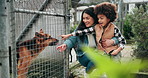 Mother, boy and dog at shelter for adoption, search and outdoor with check for homeless pet. Child, mom and hug with smile by fence, kindness and family with abandoned German shepherd in Colombia
