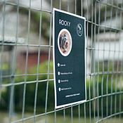 Animal shelter, cage and sign of rescue dog outdoor for adoption ...