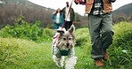 Family, dog and walking with pet in nature for bonding, exercise or training with security. Adoption animal, people or companion puppy in countryside for wellness, fitness or loyalty in outdoor field