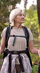 Mature woman, hiking and backpack with walking sticks in forest for adventure or outdoor journey. Female person, hiker or traveler with equipment or bag for trekking or stroll in nature or woods