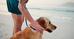 Man, beach and touch dog in summer on walk with love, care and bonding on holiday in nature. Person, animal or pet golden retriever with connection, loyalty or stroke by ocean with vacation in Brazil