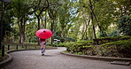 Kimono, back and person with umbrella, walking and traditional clothes for walk, park and peaceful. Travel, fresh air and indigenous outfit for culture, heritage and fashion in nature of Japan