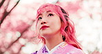 Japanese woman, kimono and travel by cherry trees in park, thinking or outdoor with search, nature or location. Person, happy and reflection in traditional clothes, memory and spring with inspiration