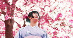 Happy, cherry blossom and kimono with Japanese woman in park for traditional festival, hanami and trees. Spring season, thinking and culture with asian person for fashion, heritage and yukata