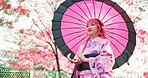 Woman, umbrella and walking in nature of Japan, outdoor bridge and travel to park for view. Female person, traditional clothes and relax in woods for kimono culture, local fashion and explore garden